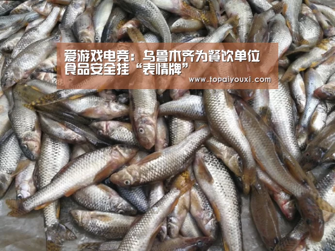 爱游戏电竞:乌鲁木齐为餐饮单位食品安全挂“表情牌”(图1) 爱游戏官方